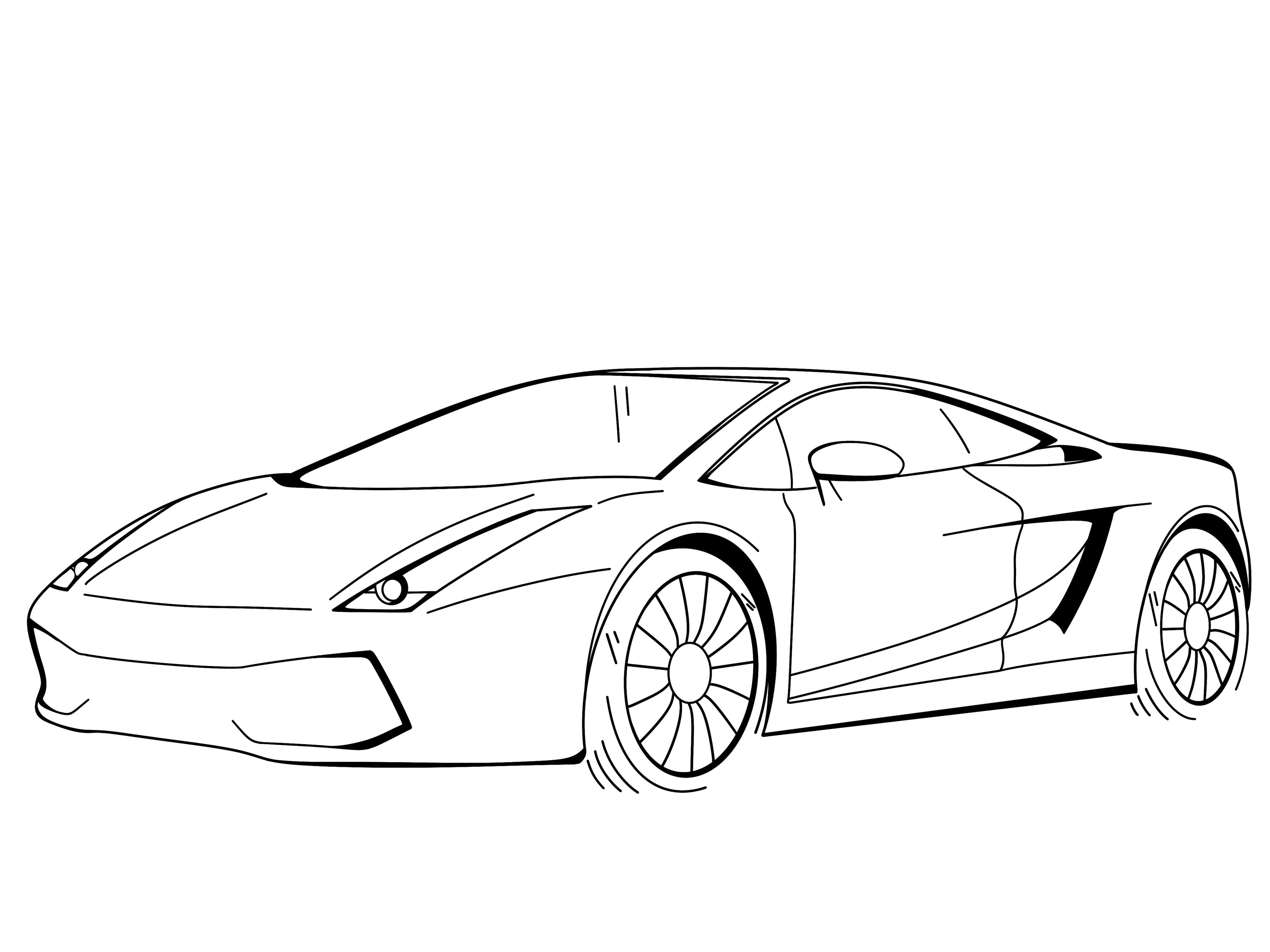 Revvedline Gallardo Collection